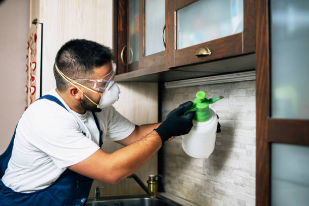 Best Flea Control Services  in Cheraw, SC