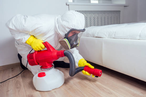 Best Local Pest Control Services  in Cheraw, SC