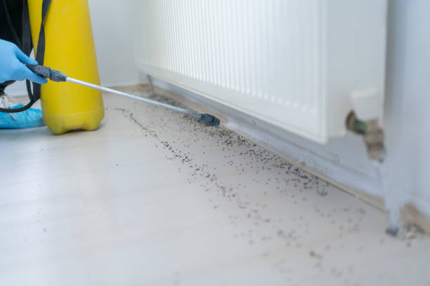 Best Exterminator Services  in Cheraw, SC