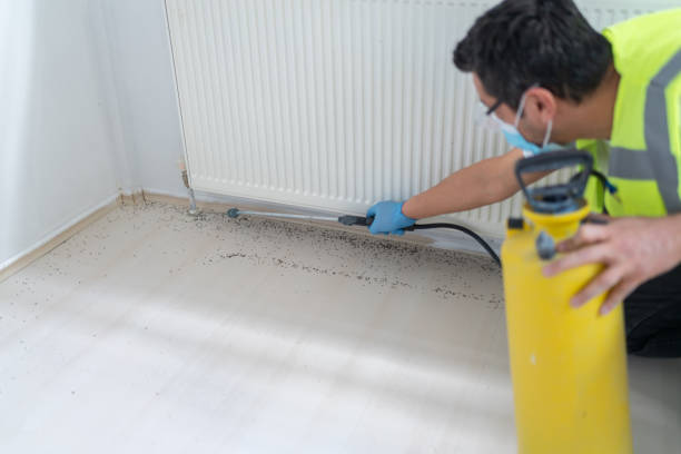 Pest Control Cost in Cheraw, SC